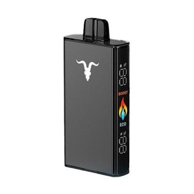 IGNITE V250 BLACK MENTHOL