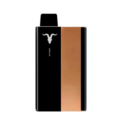 IGNITE P100 KIT GOLD ICY MINT