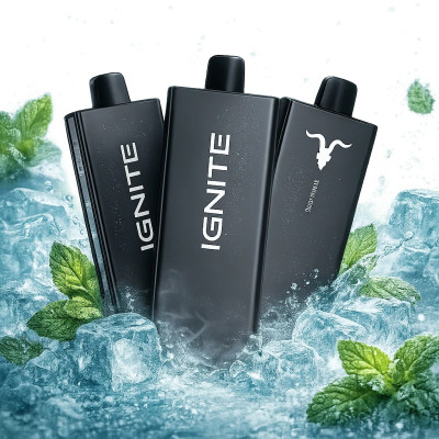 IGNITE V55 MIAMI MINT