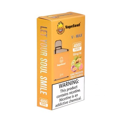 VAPESOUL V-MAX 4000PUFF...